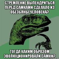 Стремление выпендриться перед самками сделало из обезьяны человека? Тогда каким образом эволюционировали самки?