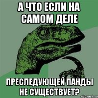 А что если на самом деле преследующей панды не существует?