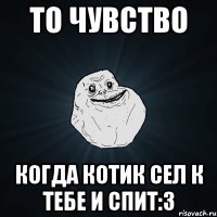 То чувство Когда котик сел к тебе и спит:3