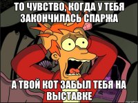 То чувство, когда у тебя закончилась спаржа а твой кот забыл тебя на выставке