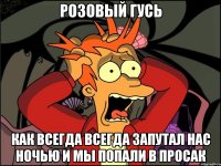 Розовый гусь как всегда всегда запутал нас ночью и мы попали в просак