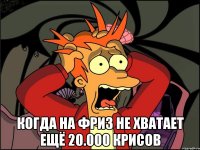  Когда на фриз не хватает ещё 20.000 крисов