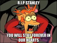 R.I.P Stanley You will stay forever in our hearts