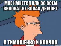 мне кажется или во всем виноват не волан де морт а тимошенко и кличко