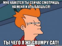 МНЕ КАЖЕТСЯ ТЫ СЕЙЧАС СМОТРИШЬ НА МЕНЯ И УЛЫБАЕШЬСЯ! ТЫ ЧЕГО Я ЖЕ Grumpy Cat!