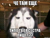 Че там еще Типо твоя сестра пишет??