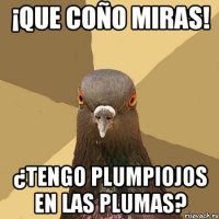 ¡Que coño miras! ¿Tengo plumpiojos en las plumas?