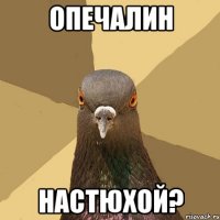 Опечалин Настюхой?