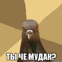  ты че мудак?