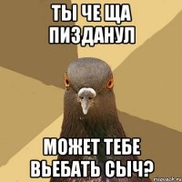 ты че ща пизданул может тебе вьебать сыч?