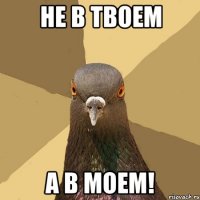 Не в твоем а в моем!