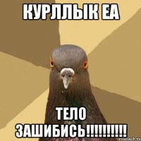 Курллык еа Тело Зашибись!!!!!!!!!!