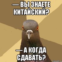 — ВЫ ЗНАЕТЕ КИТАЙСКИЙ? — А КОГДА СДАВАТЬ?