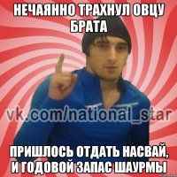 Нечаянно трахнул овцу брата пришлось отдать насвай, и годовой запас шаурмы