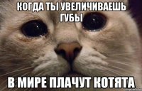 когда ты увеличиваешь губы в мире плачут котята