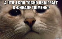 А что, если Тосно обыграет в финале Тюмень? 