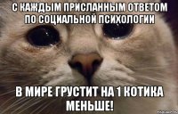 С каждым присланным ответом по социальной психологии в мире грустит на 1 котика меньше!