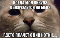 Когда моя Викуля обижухается на меня Гдето плачет один котик.....