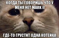 когда ты говоришь что у меня нет Mark II где-то грустит одна котейка