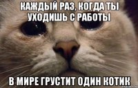 Каждый раз, когда ты уходишь с работы В мире грустит один котик