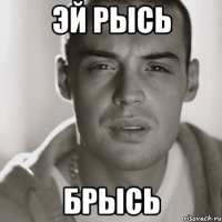 ЭЙ РЫСЬ БРЫСЬ