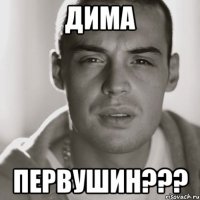 Дима Первушин???