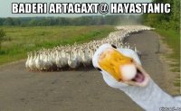 baderi artagaxt@ hayastanic 