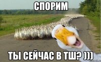 Спорим ты сейчас в ТШ? )))