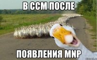 В ССМ после появления MNP