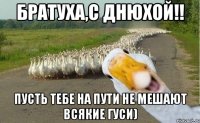 Братуха,с Днюхой!! пусть тебе на пути не мешают всякие гуси)