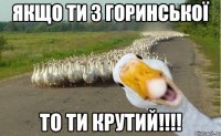 якщо ти з Горинської то ти крутий!!!!