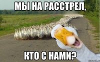 мы на расстрел, кто с нами?