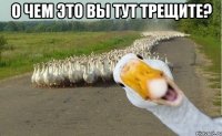 О чем это вы тут трещите? 