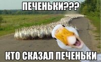 печеньки??? кто сказал печеньки