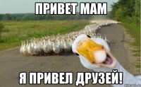 Привет мам Я привел друзей!