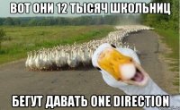 вот они 12 тысяч школьниц бегут давать One Direction