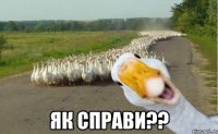  ЯК СПРАВИ??