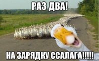 раз два! НА ЗАРЯДКУ ССАЛАГА!!!!!