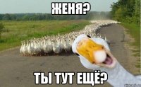 Женя? Ты тут ещё?