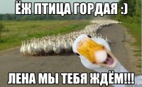 Ёж птица гордая :) Лена мы тебя Ждём!!!