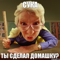 Ты сделал домашку? сука