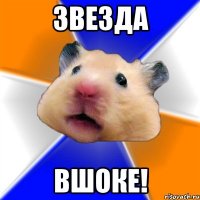 Звезда вшоке!