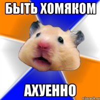 Быть хомяком АХУЕННО