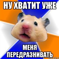 ну хватит уже меня передразнивать