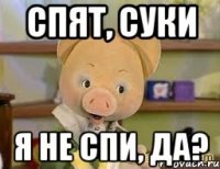 Спят, суки я не спи, да?