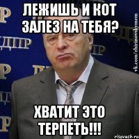 лежишь и кот залез на тебя? хватит это терпеть!!!