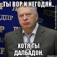 ты вор и негодяй.. хотя ты далбадон.