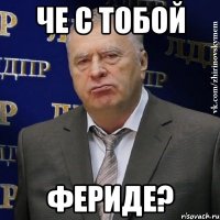 ЧЕ С ТОБОЙ ФЕРИДЕ?