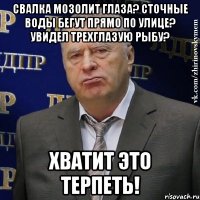 Свалка мозолит глаза? Сточные воды бегут прямо по улице? Увидел трехглазую рыбу? Хватит это терпеть!