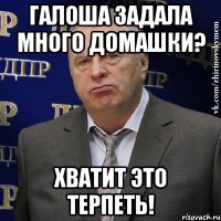 Галоша задала много домашки? хватит это терпеть!